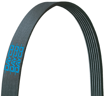Dayco Poly Rib Belt HD 5100670 - image 1 of 1