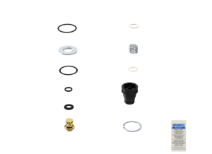 Wabco Kit Exhaust 4324319242