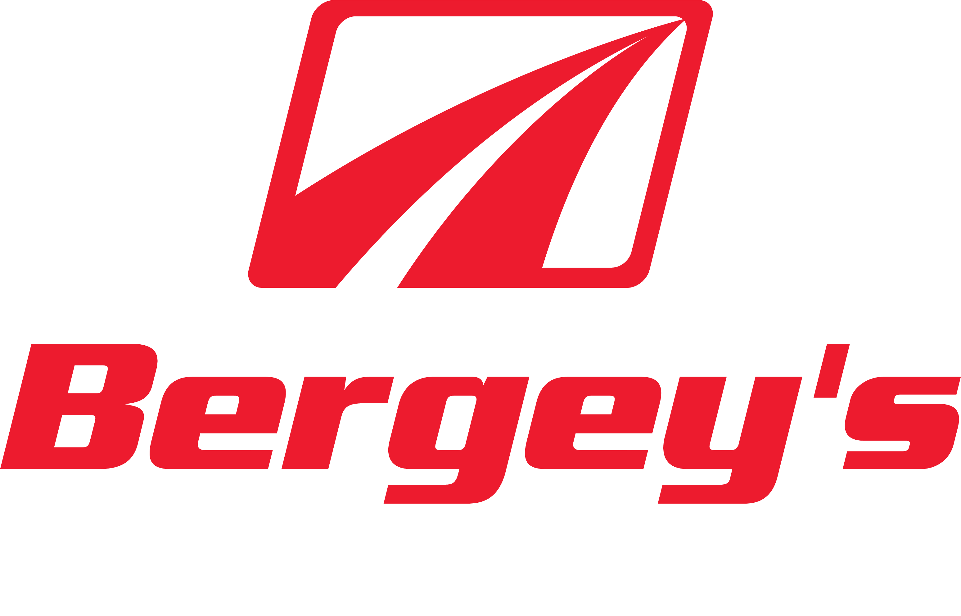Bergeys_wLogo_DTS_RedWhite_V1.3_semibold_reg