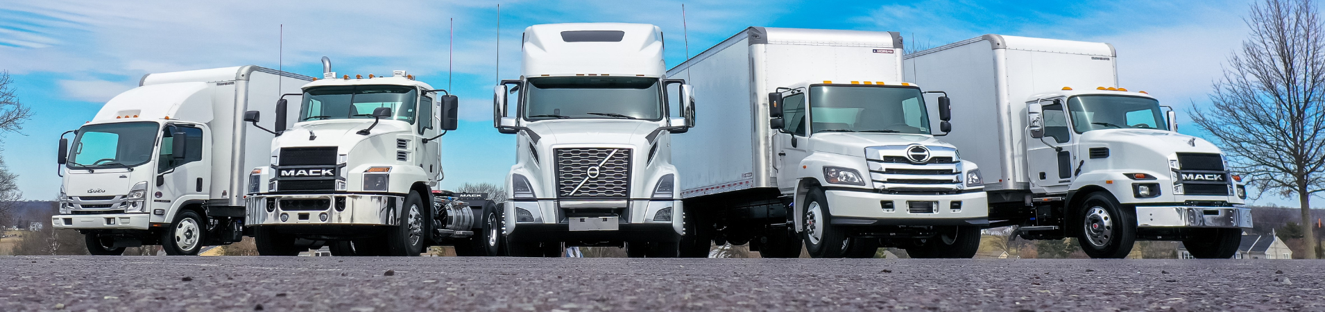 commercial truck options
